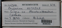 Image Associated With the Occurence